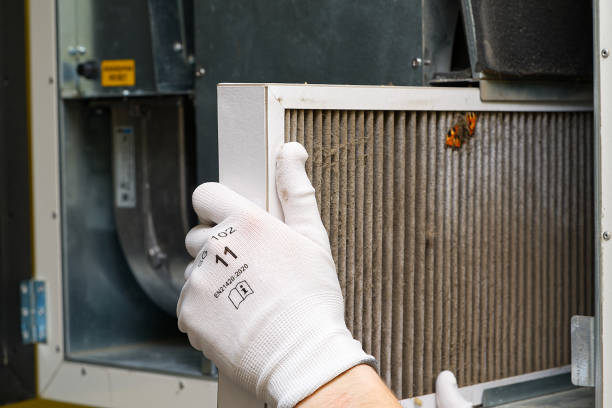 Best Local Air Duct Cleaning Services  in Twin Falls, ID