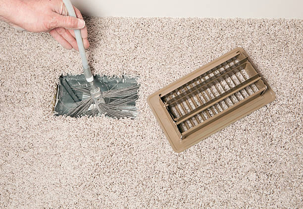 Best Air Duct Mold Removal  in Twin Falls, ID