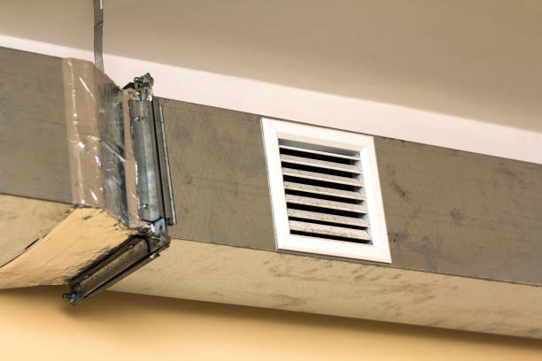 Best Home Air Vent Cleaning  in Twin Falls, ID